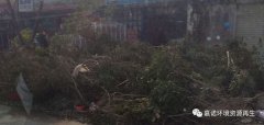 超強(qiáng)臺風(fēng)災(zāi)害后垃圾處理，援助第1站：惠州